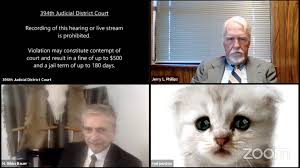 A lot of people were staring at him because the teacher was looking at him with a weird look. Texas Lawyer Appears As Cat On Zoom Call The Washington Post