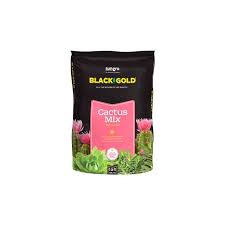 Explore horticulture unlimited's collection of succulents to discover how you can beautify your this striking cactus develops slender columns up to eight to ten feet tall. Cactus Mix 8 Qt