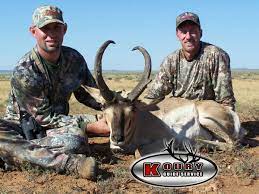 Koury guide service is a outfitting and big game guide business located in arizona. Koury Guide Service Kouryguide Twitter