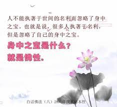 8 28 寻找真如本性 home decor decals decor home decor