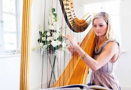Jenis alat musik harmonis terbagi menjadi dua, yaitu alat musik harmonis modern dan alat musik tradisional. 50 Contoh Alat Musik Petik Beserta Cara Memainkannya Lengkap Balubu