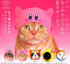 Kirby Cat Hats Cat Hat Cats With Hats Cats