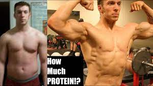 Maybe you would like to learn more about one of these? How Much Protein Do You Really Need To Build Muscle The Truth Ft Eric Helms Youtube