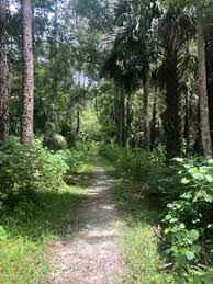 Hotels near black bear wilderness area. Hiking Trails Near Black Bear Wilderness Area
