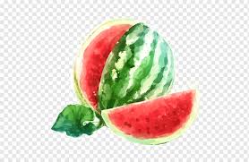 Maybe you would like to learn more about one of these? Watermelon Xiazhi Fruit Watercolor Painting Watermelon Food Melon Fruit Nut Png Pngwing