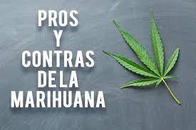 Pros Y Contras De La Marihuana Hoy Saludable