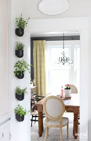 To avoid overcrowding, ensure your mint plant remains trimmed to keep it at a manageable size. How To Create A Modern Kitchen Herb Garden