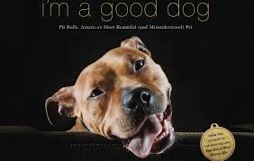 Find the perfect puppy for you! American Pit Bull Terrier Books Worth Reading