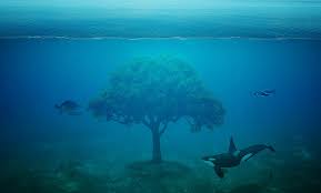 Post Elizabeth M Batt Penguin Images Orca Photoshop