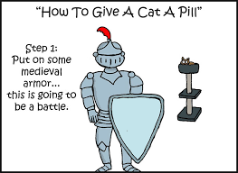 Since your head is down by your knees, you won't be 10 Step Guide Goes To Absurd Lengths Explaining How To Make A Cat Take A Pill And It S Hilarious Bored Panda