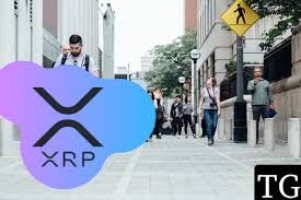 As with many cryptotokens, shady operators seek to circumvent regulatory controls by classifying their tokens as not being securities. Bitmex Arthur Hayes Does Not Care If Xrp Is Ripple Or Dogshit Newslogical
