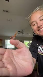 My girl Marge… day 5…. 🦋♥️ #margethemonarch #thecourtnologist  #injuredbutterfly #harmnone #butterfly #monarchbutterfly