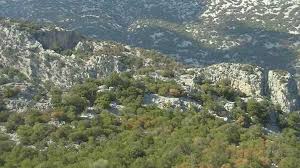 Image result for sas 1981 2021