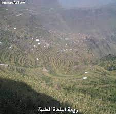 ريمة البلدة الطيبة مناظر من بلاد الطعام اليمن ريمة انت لا تعرف اليمن yemen beladat3am farmland outdoor vineyard