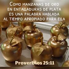 Pin En 2020 Texto Diario Testigos De Jehova