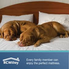 3,555 people have already reviewed rc willey. Rc Willey On Twitter Find The Perfect Mattress At Rc Wiley Https T Co Krmah7oqqv Mattresses Sleep Mattress
