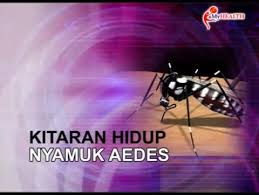 Watch premium and official videos free online. Unit Promosi Kesihatan Kuala Krai Ø§Ù„ØµÙØ­Ø© Ø§Ù„Ø±Ø¦ÙŠØ³ÙŠØ© ÙÙŠØ³Ø¨ÙˆÙƒ