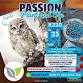 Passion Paint and Snack - Owl event image