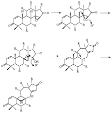 Image result for Entandrophragma delevoyi