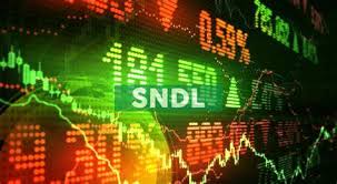 It operates through the following segments: Sundial Growers Not Out Of The Weeds Yet Nasdaq Sndl Seeking Alpha