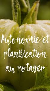 Autonomie Planification Au Potager Et Au Potager En Carre Combien De Legumes Quelle Surface Carre Potager Potager Amenagement Jardin