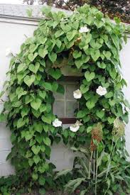 Epingle Sur Jardin