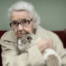 Kediler Ve Insanlar Kedi Guzel Kediler Insan