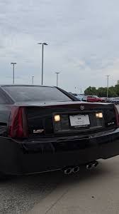 Image result for Black Raven 2006 SRX