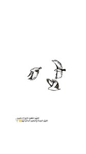 pin by gee al on ادعية واذكار quran quotes islamic phrases beautiful quran quotes
