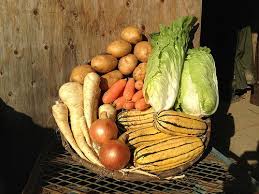 Sauvie Island Organics Farm Blog Recipes For Csa Week 28 Recipes Real Food Recipes Parsnip Puree