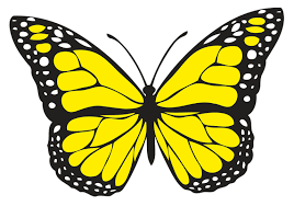 What Does It Mean When You See A Butterfly Spiritual Meaning Yellow Butterfly Tattoo Butterfly Symbolism Butterfly Drawing