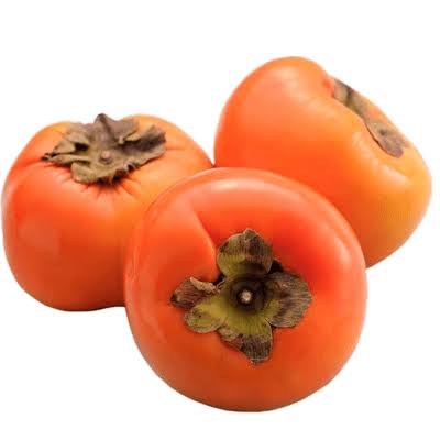 نهال خرمالو گوجه ای ایرانی