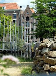 Une Journee A Artis Le Zoo D Amsterdam Leszed Amsterdam Le Zoo Amsterdam Pays Bas