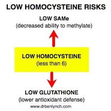Image result for Homocysteine