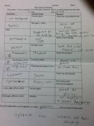 We Did A Worksheet In Science And The Instructions Were To Compare A Cell To A Factory Coming Up With An Analogy Helped Me Cell Analogy Cell Apologia Science