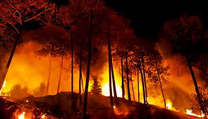 Kebakaran hutan, yang mencapai puncak pada bulan maret serupa dengan krisis kabut asap juni 2013, menghasilkan kabut asap berbahaya dalam jumlah yang. Inilah Penyebab Kebakaran Hutan Di Indonesia Kabarnusa Com