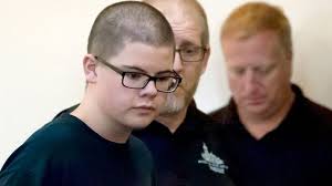 Judge will decide if Freeman High School shooting suspect will be tried as  an adult