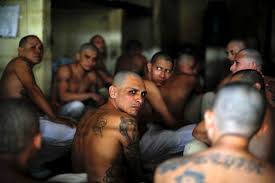 In many ways this history has underpinned the evolution of a terrifying gang culture. El Salvador Authorizes Use Of Lethal Force Against Gangs Q Costa Rica