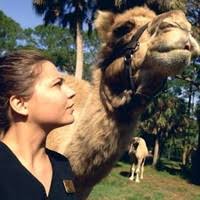 10+ "Sam Duca" profiles