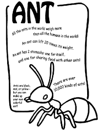 People who printed this coloring page also printed. Ant Coloring Page Crayola Com