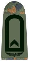 Wir haben die einzelnen bezeichnungen und unterscheidungen übersichtlich für sie zusammengefasst. Dienstgrade Bundeswehr Www Simsso De