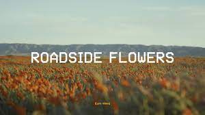 Maybe you would like to learn more about one of these? Droeloe Roadside Flowers Ft Iris Penning Official Music Video Youtube