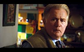 The Kid: Chamaco : Sheen, Martin, Harris, Kirk, Perea, Alex, Perea, Danny,  Espinosa, Sofia, Madsen, Michael, Parra, Gustavo Sanchez, Bessai, Carl:  Amazon.nl: DVD & Blu-ray