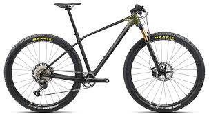 Image result for Orbea umbracula