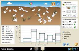 Check spelling or type a new query. Natural Selection Mutation Genetics Selection Phet Interactive Simulations