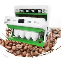 WESORT Manufacturer 6SXZ-272 Nut Processing Machinery Raw Coffee Fruit  Sorting Machine Cooked Coffee Bean Colour Sorter Price