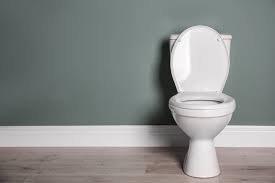 It's one of those things that we all see all the time but have agreed collectively to not discuss, especially not at work. 10 Best Flushing Toilets Of 2021 Power Flush Toilet Reviews