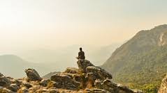 Image result for Megalochlamys hamata