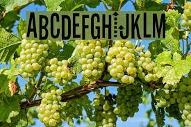 Discover and customize the font stereofidelic and other similar fonts, ready to share in facebook and twitter. Stereofidelic Fonte Ffonts Net