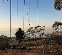 Check spelling or type a new query. La Jolla Secret Swings Hidden San Diego San Diego Travel Explore San Diego San Diego Living